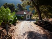 Casa Indipendente in vendita a Vallebona - Rif. 0151