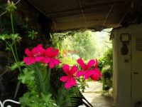 Casa Indipendente in vendita a Prel� - Rif. 130