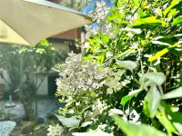 Bilocale in affitto a Sanremo - Rif. A000321