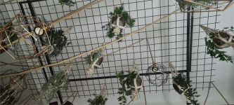 Negozio in affitto a Sanremo - Rif. A000326