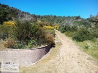 Villa in vendita a Rio - Rif. Rif. 305