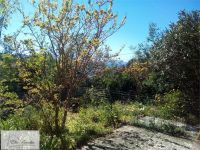 Villa in vendita a Rio - Rif. Rif. 305