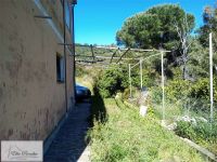 Villa in vendita a Rio - Rif. Rif. 305