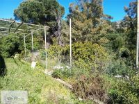 Villa in vendita a Rio - Rif. Rif. 305