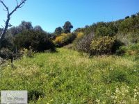 Villa in vendita a Rio - Rif. Rif. 305