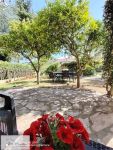 Appartamento In Villa in affitto a Porto Azzurro - Rif. CASA VACANZE AUDREY