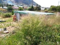 Terreno in vendita a Arma Di Taggia - Rif. AR TE12-av