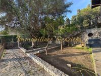 Villa Bifamiliare in vendita a Vallecrosia - Rif. C5-09