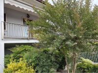 Casa Indipendente in vendita a Vigasio - Rif. V003711
