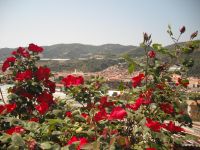 appartamento a Taggia