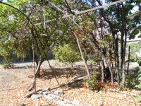 Villa in vendita a Ventimiglia - Rif. P030