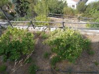 Appartamento in vendita a Ventimiglia - Rif. P028