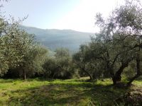appartamento a Imperia