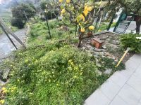 Appartamento in vendita a Imperia - Rif. 