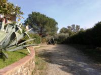 Appartamento in affitto a Imperia - Rif. 