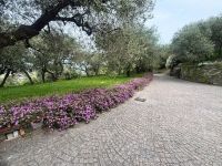 Appartamento in affitto a Imperia - Rif. 