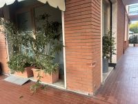 Appartamento in vendita a San Bartolomeo Al Mare - Rif. 