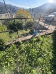 Casa Indipendente in vendita a Imperia - Rif. 