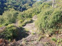 appartamento a Imperia