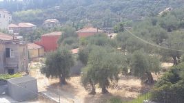 Casa Indipendente in vendita a Imperia - Rif. 