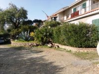 Appartamento in affitto a Imperia - Rif. 