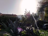 Appartamento in affitto a Imperia - Rif. 