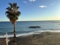 Appartamento in affitto a Imperia - Rif. 