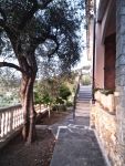 Appartamento in affitto a Imperia - Rif. 