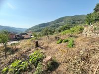 Casa Indipendente in vendita a Chiusavecchia - Rif. 