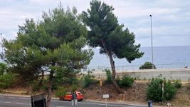Appartamento in vendita a San Lorenzo Al Mare - Rif. 