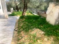 Appartamento in affitto a Imperia - Rif. 