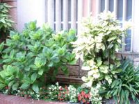 Bilocale in vendita a Sanremo - Rif. V001115