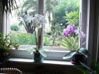 Bilocale in vendita a Sanremo - Rif. V001115