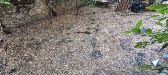 Bilocale in affitto a Sanremo - Rif. A000209