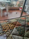 Monolocale in affitto a Sanremo - Rif. A000350