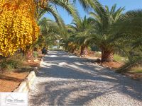 Villa in vendita a Porto Azzurro - Rif. Rif. 177