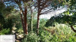 Casa Indipendente in vendita a Marciana - Rif. Rif. 23