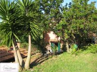 Casa Indipendente in vendita a Rio - Rif. Rif. 331