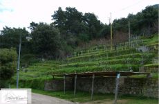 Albergo in vendita a Marciana - Rif. Rif. 59