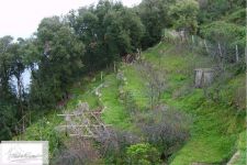 Albergo in vendita a Marciana - Rif. Rif. 59