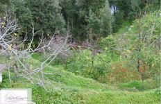 Albergo in vendita a Marciana - Rif. Rif. 59