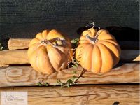 Negozio in vendita a Capoliveri - Rif. Rif. A07