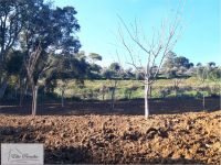 Negozio in vendita a Capoliveri - Rif. Rif. A07