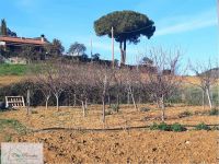 Negozio in vendita a Capoliveri - Rif. Rif. A07