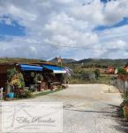 Negozio in vendita a Capoliveri - Rif. Rif. A07