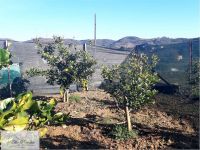 Negozio in vendita a Capoliveri - Rif. Rif. A07