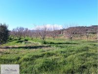Terreno in vendita a Capoliveri - Rif. Rif. 201