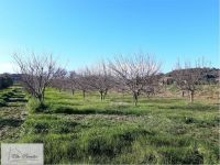 Terreno in vendita a Capoliveri - Rif. Rif. 201