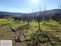 Terreno in vendita a Capoliveri - Rif. Rif. 201