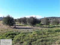 Terreno in vendita a Capoliveri - Rif. Rif. 201